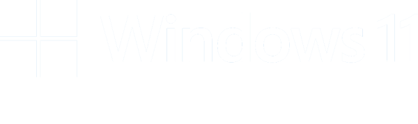 Windows 11 Pro Installation incl. License