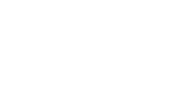 Geforce RTX 5070 TI 16GB White, Markenhersteller